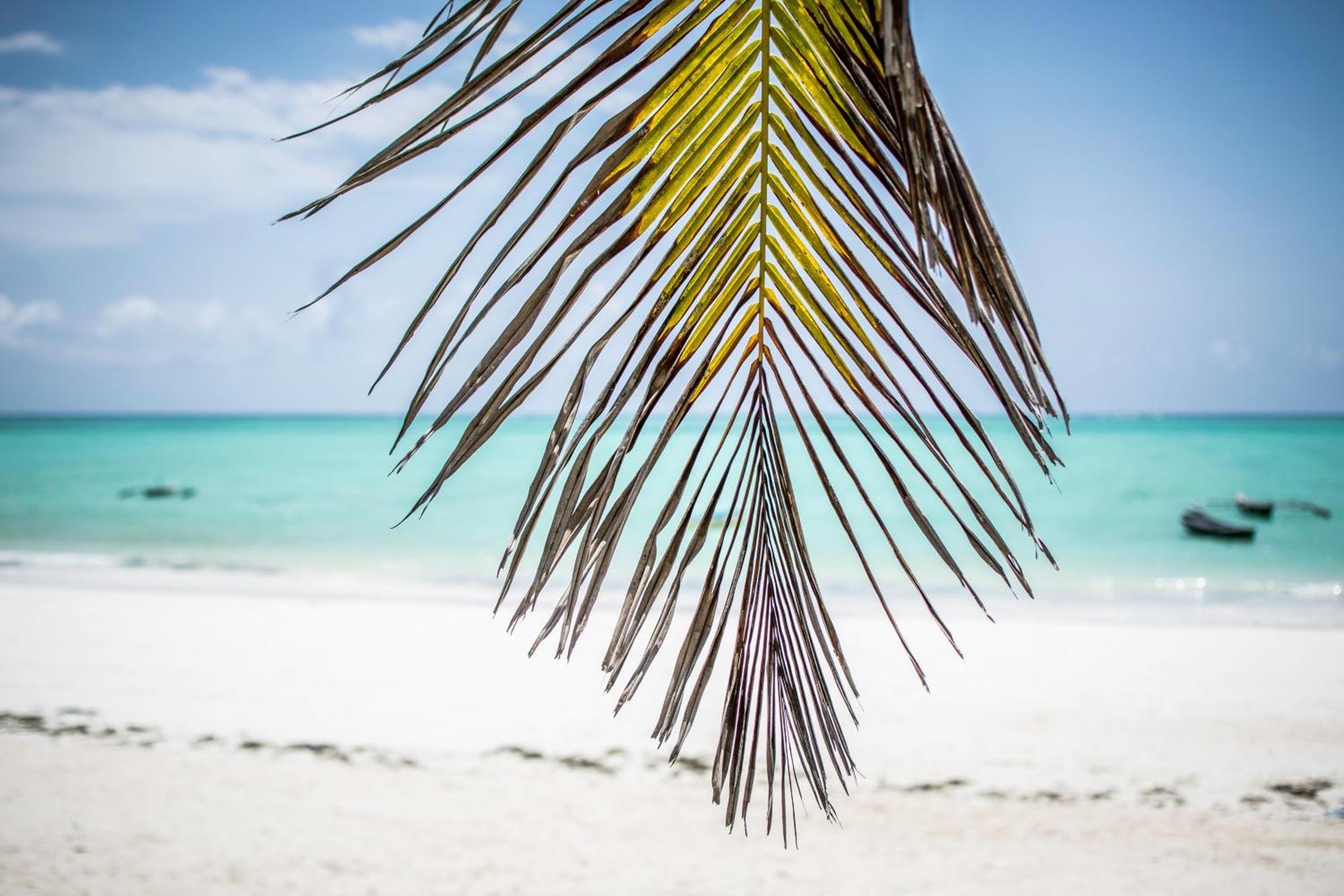 Mahali Zanzibar Ξενοδοχείο Paje Εξωτερικό φωτογραφία